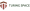 Turing Space